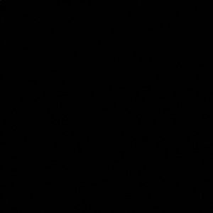 Meet your Posher, Lana